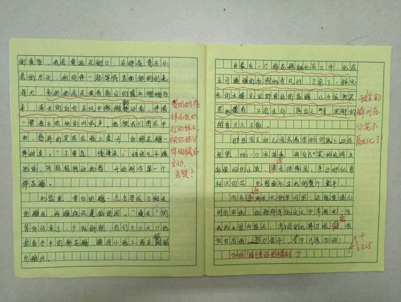 只给班主任看的周记——特别的师生沟通